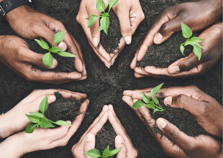 Stratégies pour une agriculture durable face au changement climatique